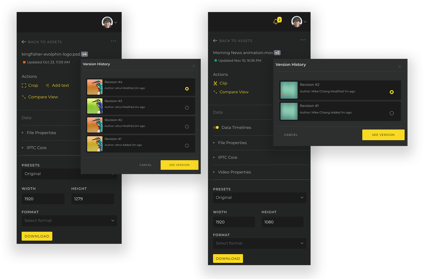 Screenshot of Evolphin Digital Asset Management Smart Version Control